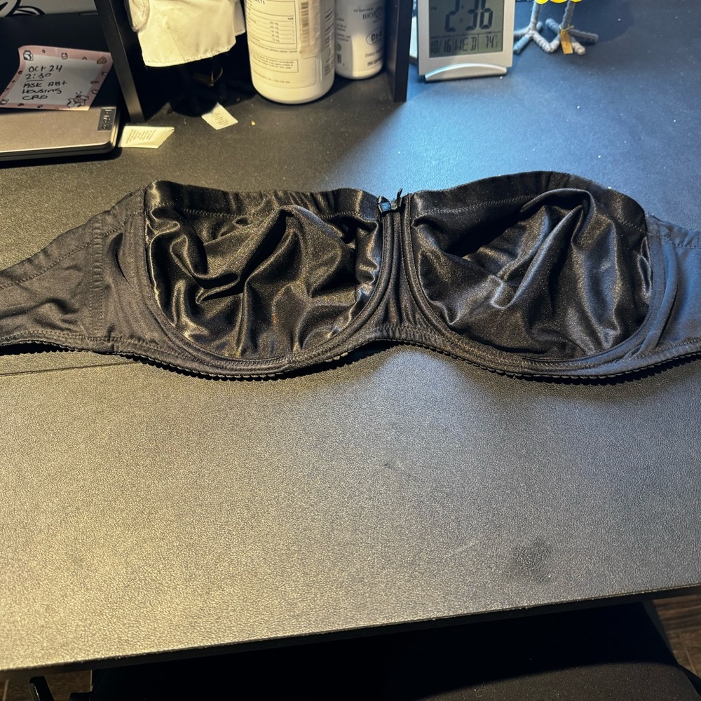 Nwot Prima Donna Strapless Bra 40E